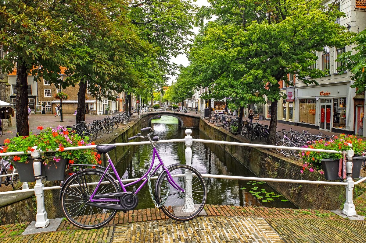 Амстердам - в страната на лалетата
