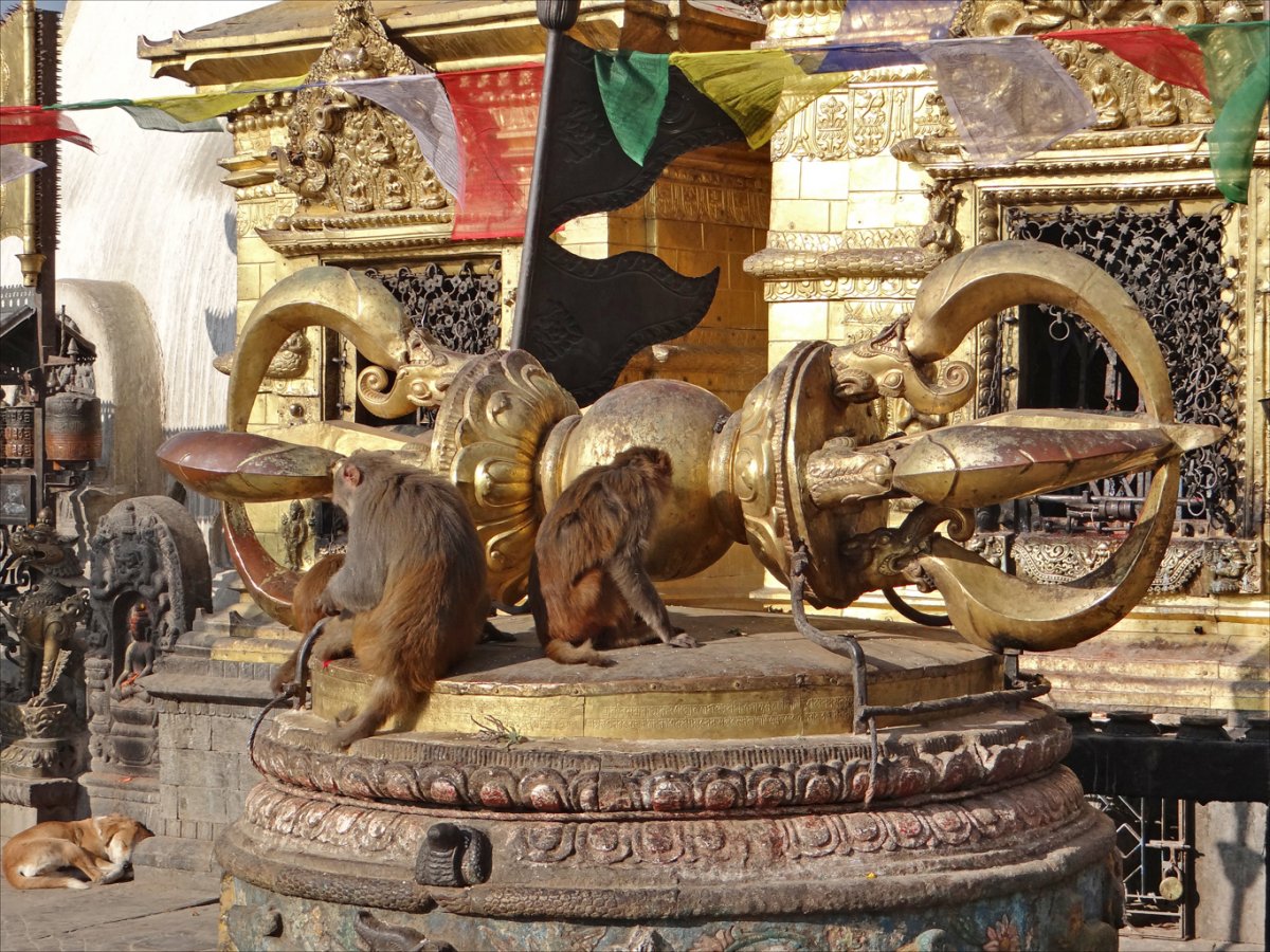 Екскурзия в ИНДИЯ и НЕПАЛ - Делхи – Джайпур - Фатехпур Сикри - Агра - Тадж Махал -Варанаси – Катманду